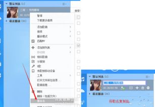 多米音乐旧版本,稳定性操作方案分析_2DM_v9.861
