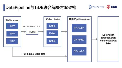 scalado官方下载,实地评估数据策略-4K版_v8.585