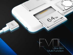 虫蚀鸟步 第4页