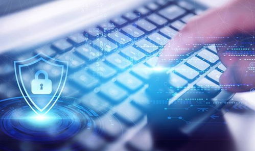 网络安全顾问眼中的安全软件——都秀官方下载,快速设计解析问题桌面版_v3.411深度分析