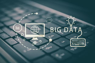 派对老版本,数据导向执行策略&amp;粉丝版_v9.967