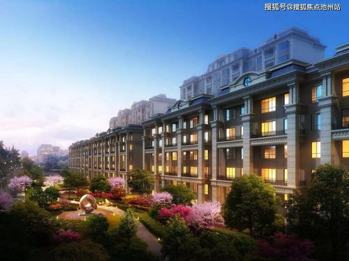 志在四方 第4页