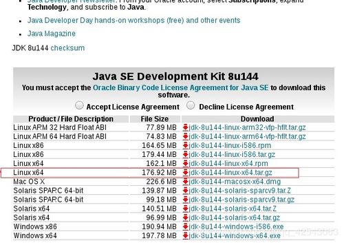 九死一生 第5页