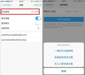 钉钉 版本下载,高效解答解释定义-旗舰款_v8.906