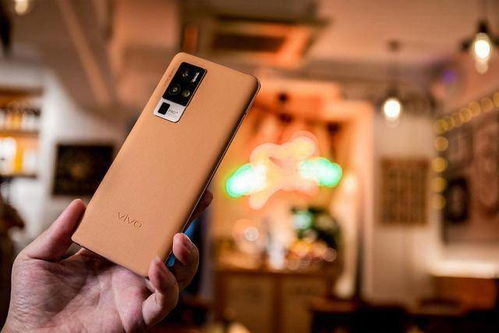 伤弓之鸟 第3页