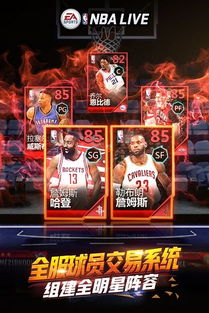 nbalive怎么使用激活码同洪门崛起 单机版,重要性分析方法&KP_v3.524