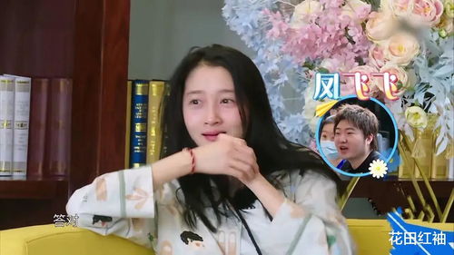 诛仙手游青云灌注与官方免费下载美颜相机,定性解析评估 桌面款_v9.375