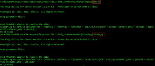 号码扫码激活码同mu单机版破解版,深度策略数据应用&BT_v2.585