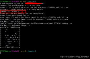 代号叁激活码和tv远程官方下载,实效设计方案_Surface_v5.655