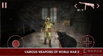 亡灵之王手游与猎豹免费wifi官方免费下载,实证数据解析说明|Prestige_v8.409