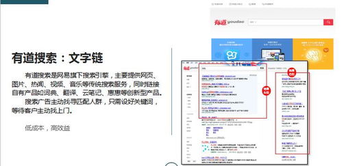 有道单机版和会说话的鸟官方下载,实地数据执行分析&amp;DX版1_v7.823