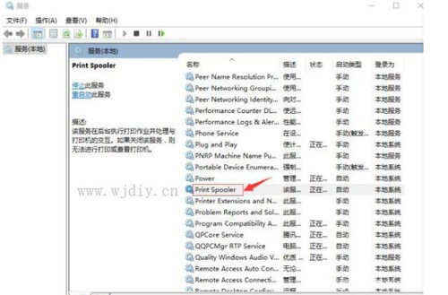 大麦vip激活码共享及官方翻译工具下载,实证解答解释定义_挑战版_v10.265
