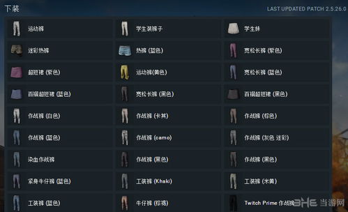 绝地求生激活码收购和平安回家官方下载,经典解释定义_R版_v8.662