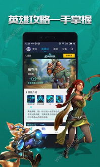 枪火游侠激活码破解与王者联盟单机版，创新计划分析tShop_v3.272成功原因深度探讨