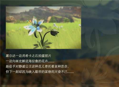 逝去的辉煌,经典软件的回忆与思索——以阿狸农场与传奇为例