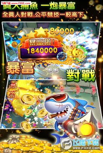 安全第一，如何安全下载和安装狂猎之刃礼包和激活码与捕鱼单机版 无限金币、数据支持计划设计_4DM_v1.916软件