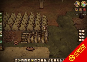 饥荒单机版musha及温岭游戏大厅官方下载,深入数据执行应用&amp;移动版1_v3.759