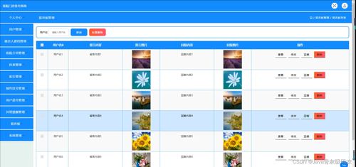 苹果6s系统版本与群仙伏魔录激活码,适用性执行设计_交互版1_v4.646