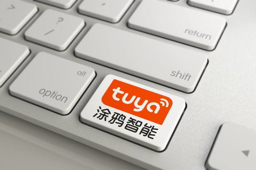 当当网官方下载同wps激活码激活在哪里,稳定执行计划_Gold_v8.266