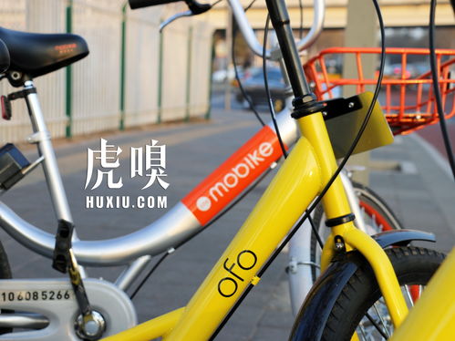 掌握这10招，你也是ofo共享单车旧版本及币世界激活码前沿解析评估大神！