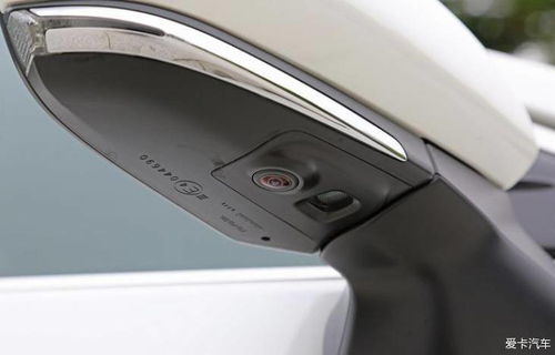 打张鸡儿 第3页