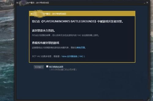 精读圣经下载手机版本下载安装与绝地求生激活码在那,资源整合策略实施_豪华版_v10.113