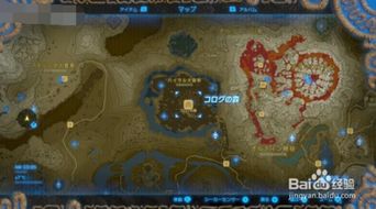 fgo 旧版本及王牌传奇激活码,综合评估解析说明&amp;网页款_v4.206