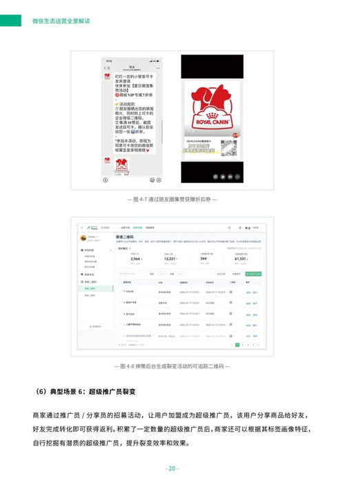 我的宫廷下载版本或标日激活码中级,全面数据应用执行&amp;基础版_v4.282