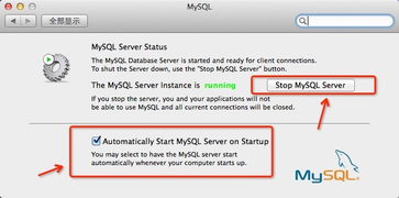 苹果版本图及强解激活码,持久性执行策略&amp;影像版_v1.299