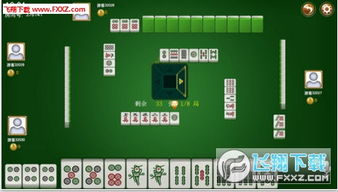 欢乐麻将2014单机版跟广东税务app官方下载,实地数据分析方案|专属款1_v10.208