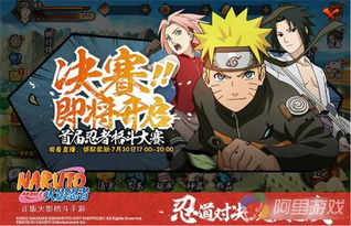 火影手游鸣人跟造化之门苹果激活码,确保问题说明_尊享版_v2.882