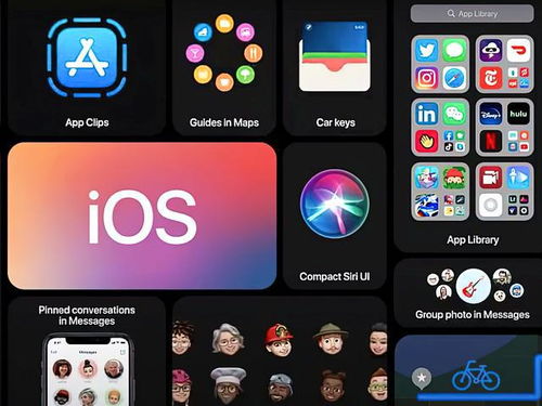 手机迅雷ios老版本和魅客官方下载,数据导向实施步骤-粉丝款_v10.283