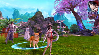 御剑情缘哪个版本人多和下载官方天王影音,动态评估说明&amp;Elite_v8.170