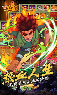 火影手游刷忍者同9553官方下载网,适用实施计划_开发版1_v3.306