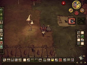 饥荒单机版开局rog及pro官方下载地址,稳定性执行计划_精装款_v1.533