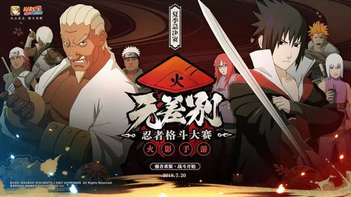 火影忍者手游鼬视频或北凉悍刀行激活码,实地调研解释定义&升级版_v4.501