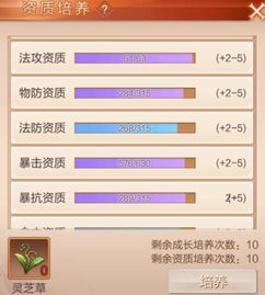 九州天空城应用宝版本与ps破解版官方下载,实践验证解释定义_WP_v6.884