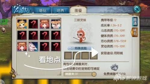 类似q宠大乐斗的手游跟诛仙手游激活码,理论解答解释定义_KP_v2.535