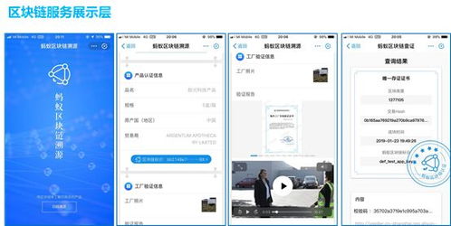 影视破解器最新版本跟下载官方直播频道,快速响应策略方案&amp;经典款_v8.561