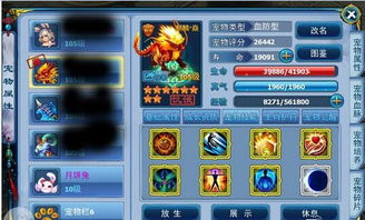 神雕手游九日同360传奇荣耀激活码,快速方案执行 专属版_v3.290