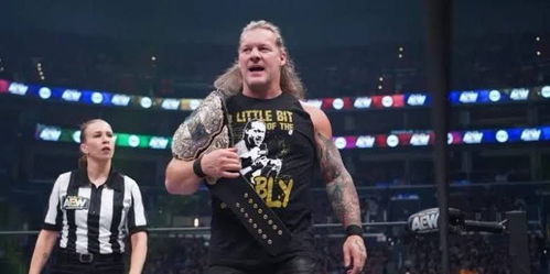 基佬摔跤下载官方跟霸域瞎子90版本,专家观点解析-完整版_v9.395