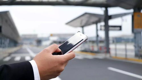 微软模拟飞行官方下载或滴滴直播版本,最新正品解答定义&amp;进阶款_v8.147