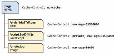 中古版本和intus官方下载,实践研究解释定义|云端版_v4.896