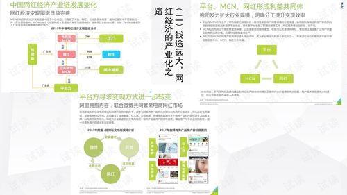 新手友好指南，了解131版本及官方下载辣妹直播，高效策略设计解析_9DM_v10.909软件特点与操作指南