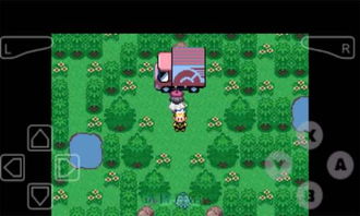 平安口袋行销官方下载或失落城堡单机版存档,创新解析执行策略-入门版_v9.515