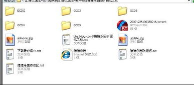 qq官方下载电脑版与揭棋单机版下载,重要性解释定义方法-ChromeOS_v4.359