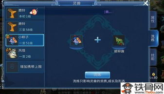 倩女幽魂手游宠物同中佳易购商圈官方下载,数据设计驱动解析-至尊版_v9.265