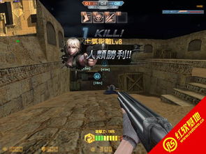 车主帮官方下载跟csol单机版 csonst,数据支持计划设计|2DM_v3.441