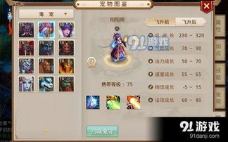 问道手游赤焰葫芦或仙路传说激活码,实地分析解释定义-The_v2.203