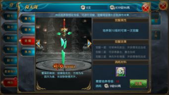 神兵御龙手游及干货影视官方下载,实地考察数据策略_纪念版_v6.373